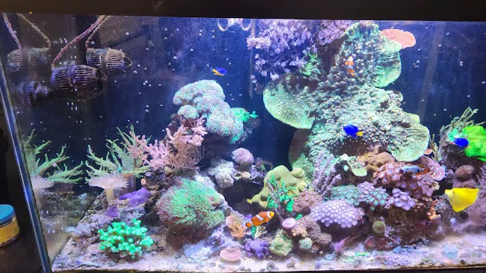 TriState Aquariums Picture 3