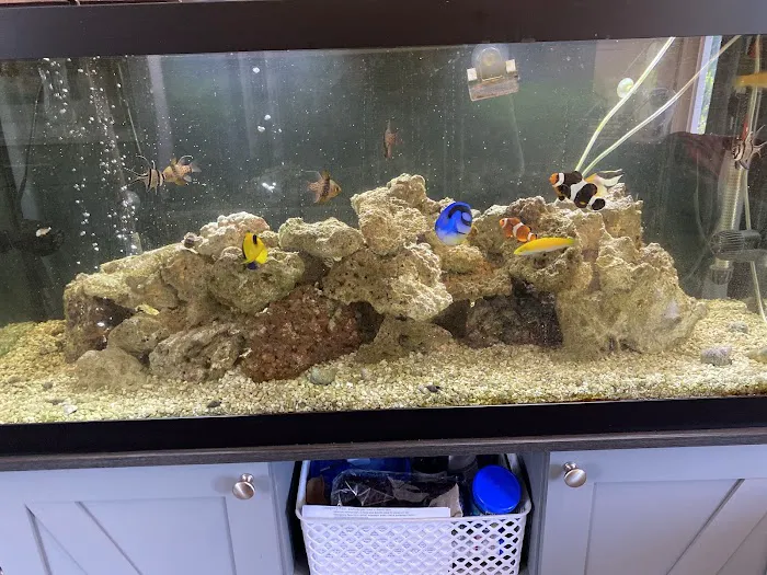TriState Aquariums Picture 6
