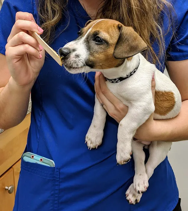 Galena Animal Medical Clinic Picture 2