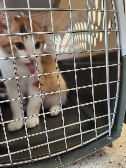 Galena Animal Medical Clinic Picture 10