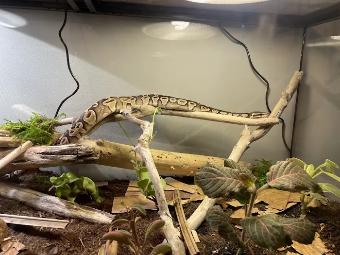 Jurassic Feeders & Beastly Exotics Picture 4