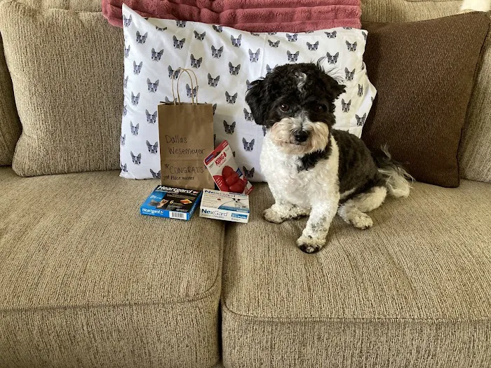 MONTEVALLO SKY'S L.L.C. PET BREEDER Picture 6