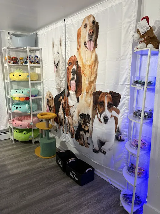 Avila Pet Store Picture 3