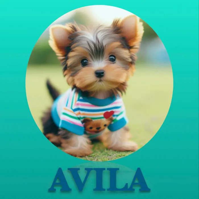 Avila Pet Store Picture 6