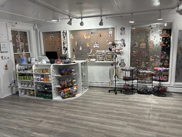 Avila Pet Store Picture 8