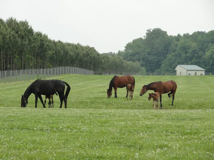 Kent Veterinary Center at Glasgow Farm Picture 3