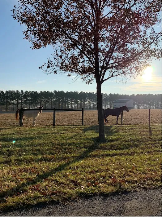Kent Veterinary Center at Glasgow Farm Picture 8