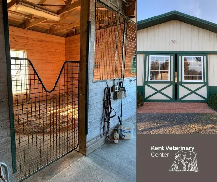 Kent Veterinary Center Picture 2