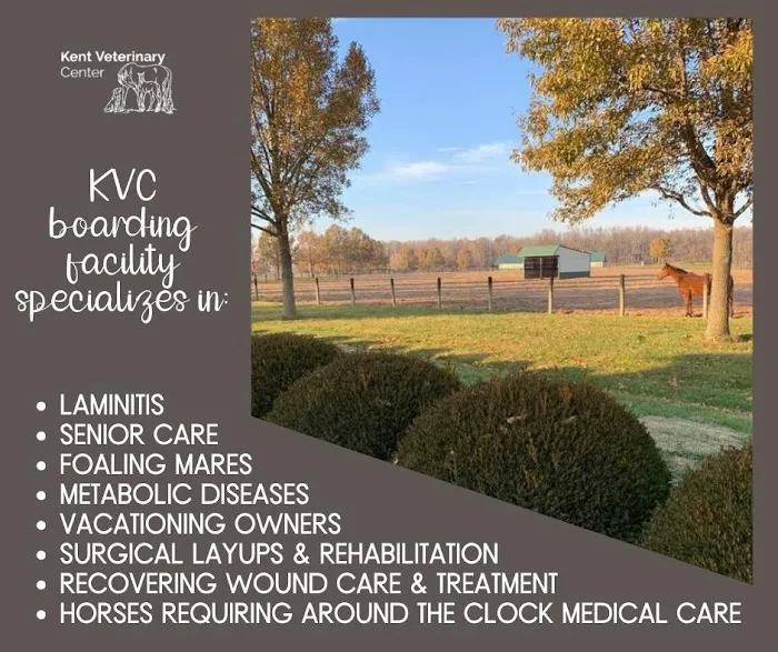 Kent Veterinary Center Picture 6