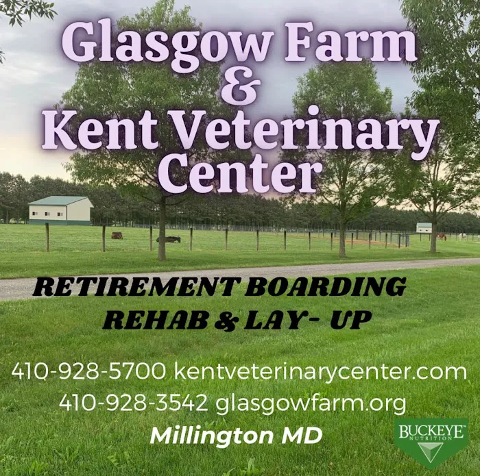 Kent Veterinary Center Picture 4