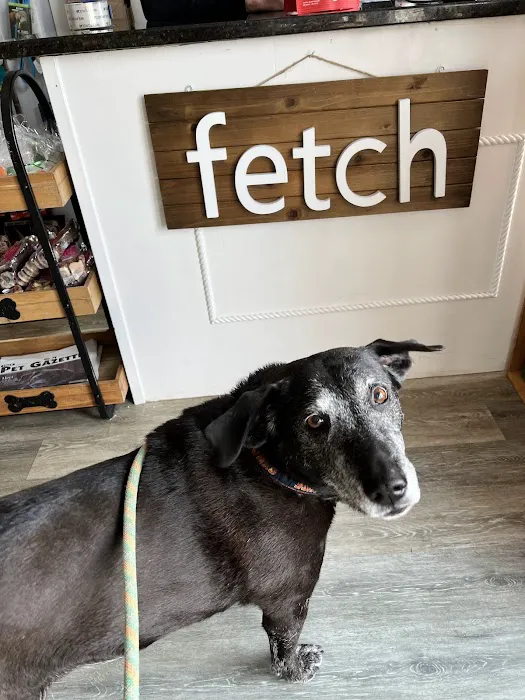 Fetch 02025 Picture 4