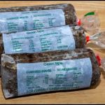 Dogs Gone Raw: Raw Dog Food, Green Tripe and Beef Bones