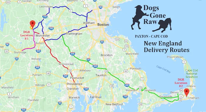 Dogs Gone Raw: Raw Dog Food, Green Tripe and Beef Bones Picture 5