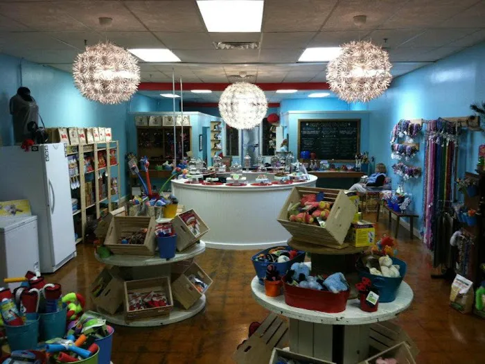 Hot Diggity Dog Wash & Boutique Picture 1