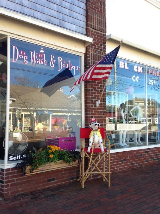 Hot Diggity Dog Wash & Boutique Picture 3