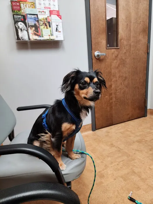 Manheim Pike Veterinary Hospital Picture 4