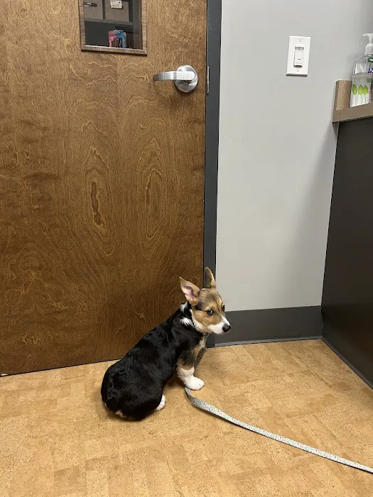 Manheim Pike Veterinary Hospital Picture 7