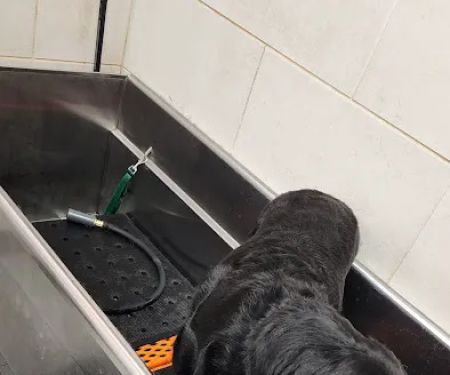 Petco