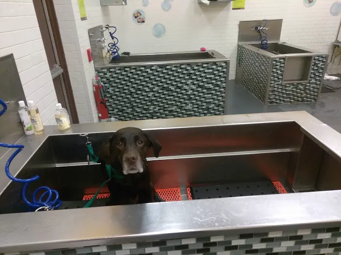 Petco Picture 9