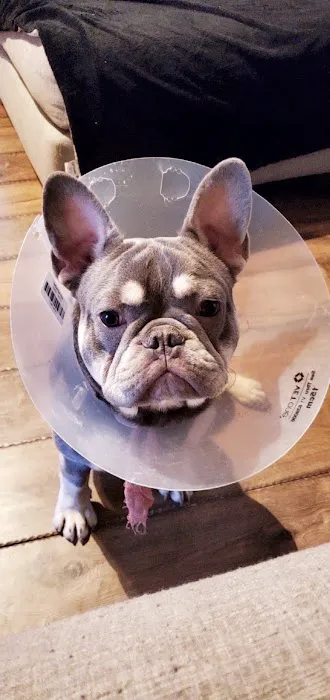 Banfield Pet Hospital Picture 2