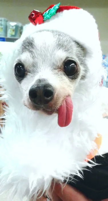 Banfield Pet Hospital Picture 7