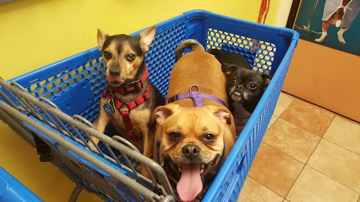 Banfield Pet Hospital Picture 10