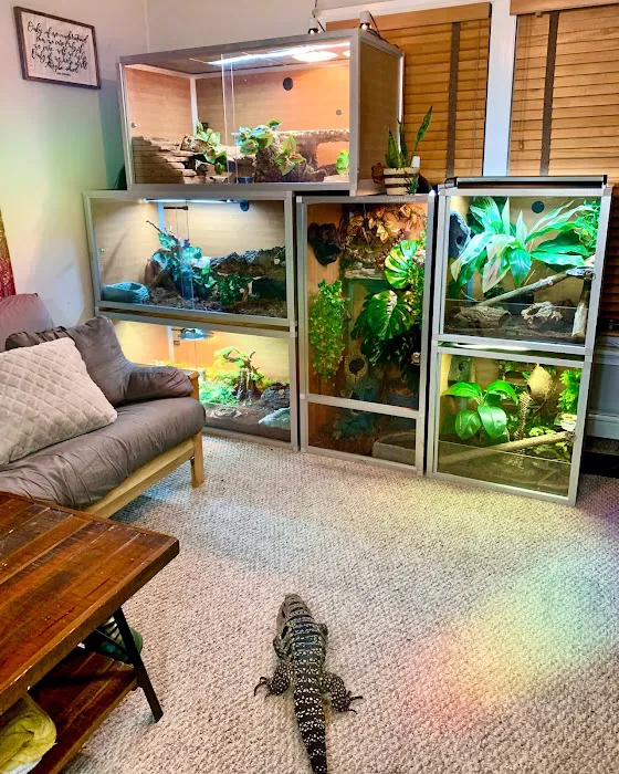 Zen Habitats Picture 1