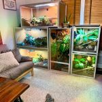 Zen Habitats
