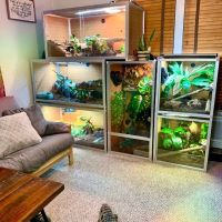 Zen Habitats ico