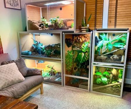 Zen Habitats