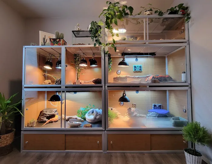 Zen Habitats Picture 5