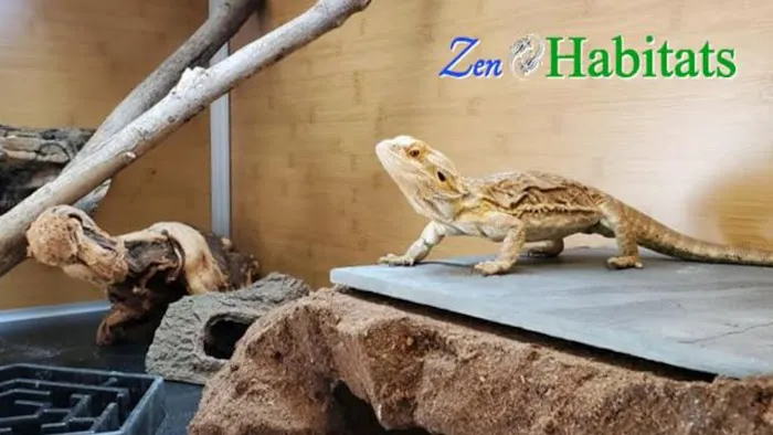 Zen Habitats Picture 3
