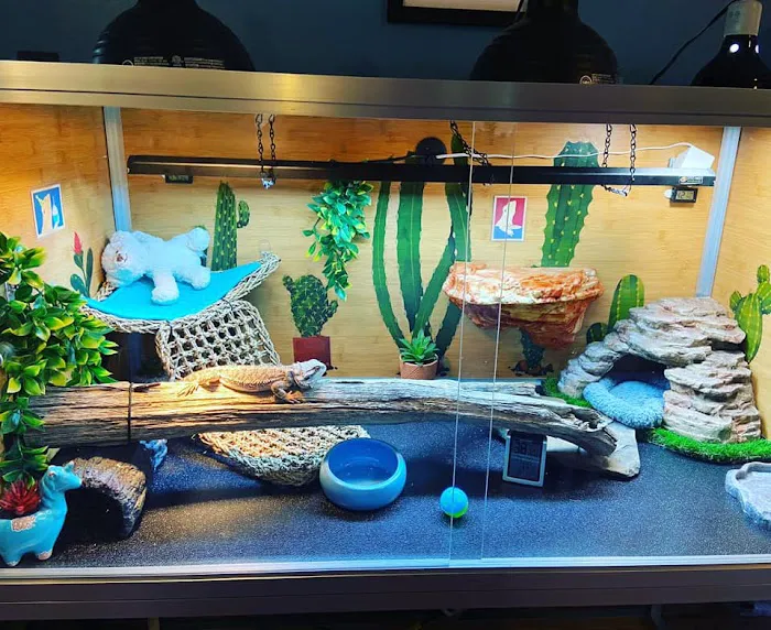 Zen Habitats Picture 8