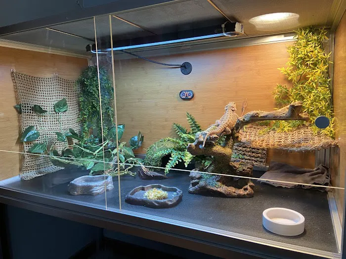 Zen Habitats Picture 6