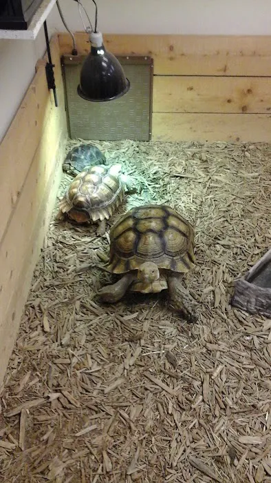 CV Exotics Picture 2