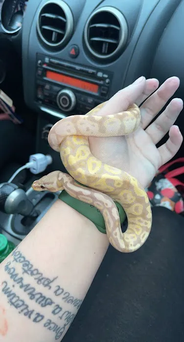 CV Exotics Picture 10