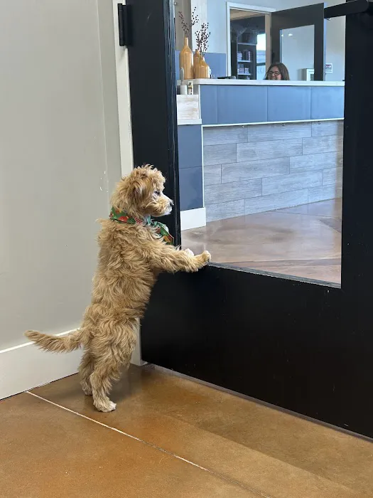 Furdunkin Veterinary Emergency Hospital Picture 1