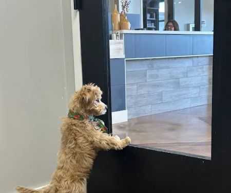Furdunkin Veterinary Emergency Hospital