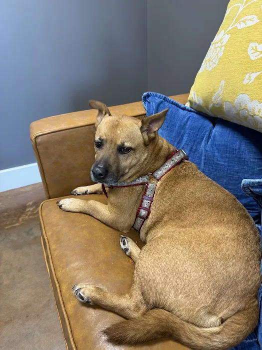 Furdunkin Veterinary Emergency Hospital Picture 2