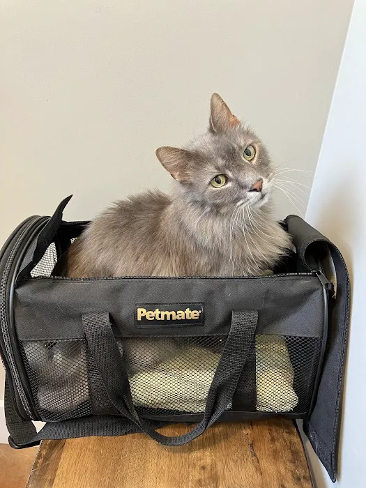 Furdunkin Veterinary Emergency Hospital Picture 10