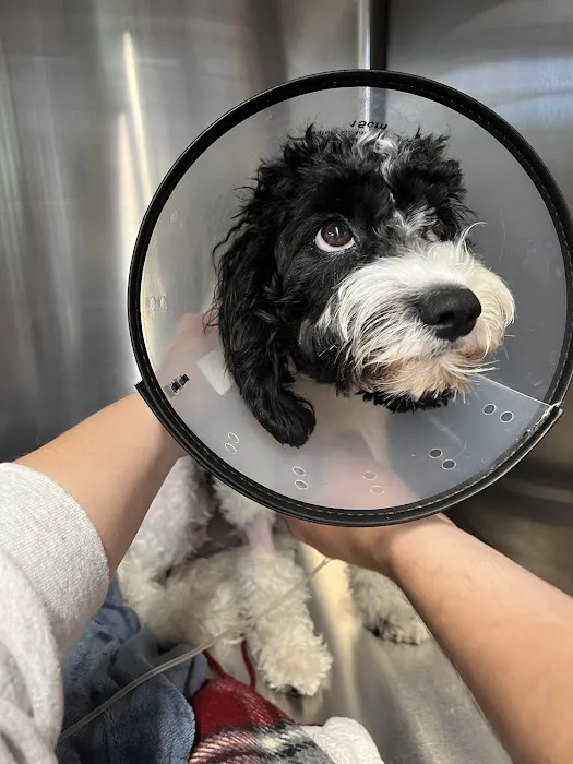 Furdunkin Veterinary Emergency Hospital Picture 6