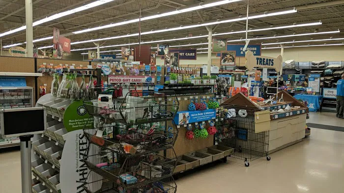 Petco Picture 3