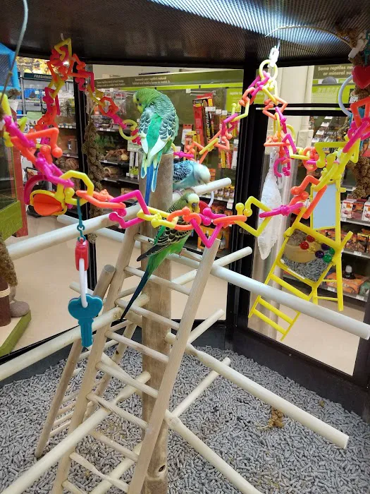 Petco Picture 6