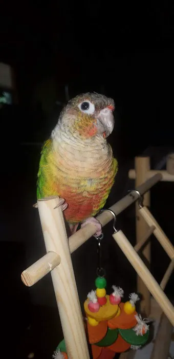 Petco Picture 8