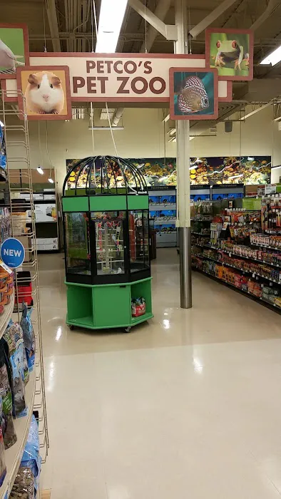 Petco Picture 7