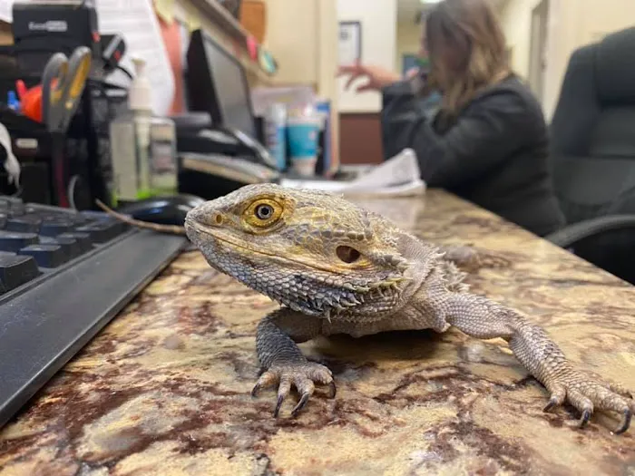 Harrisburg Pike Animal Hospital Picture 2