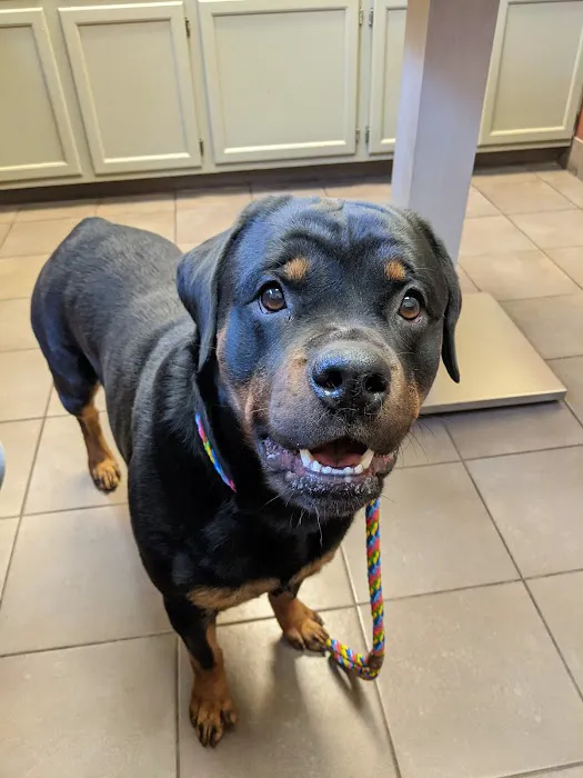 Harrisburg Pike Animal Hospital Picture 9