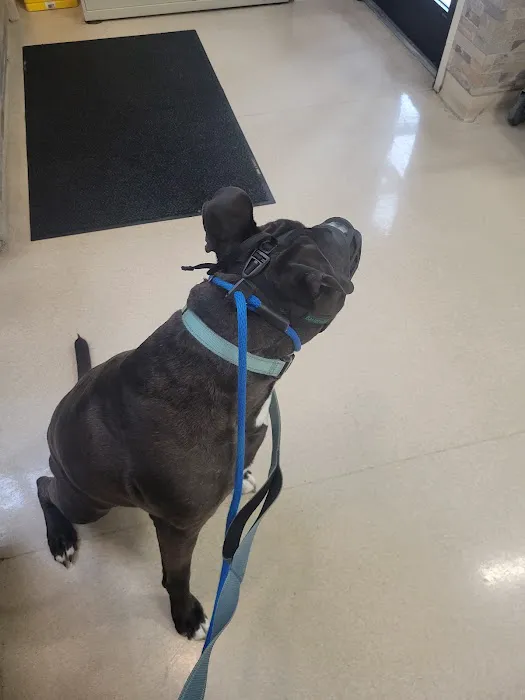 Harrisburg Pike Animal Hospital Picture 10