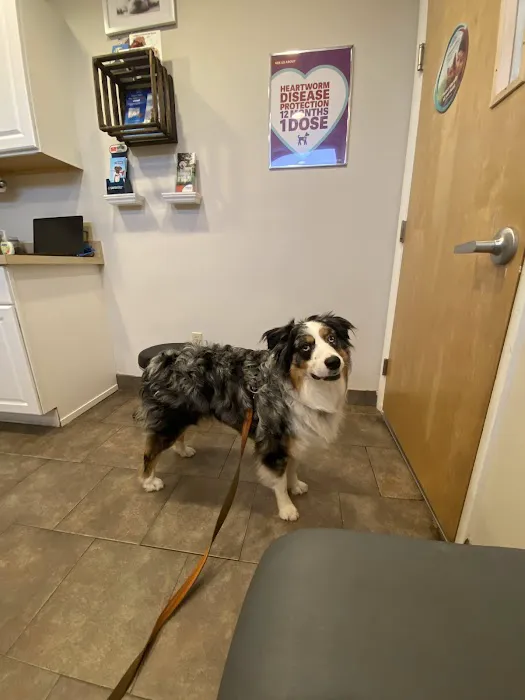 Happy Tails Animal Hospital Picture 4