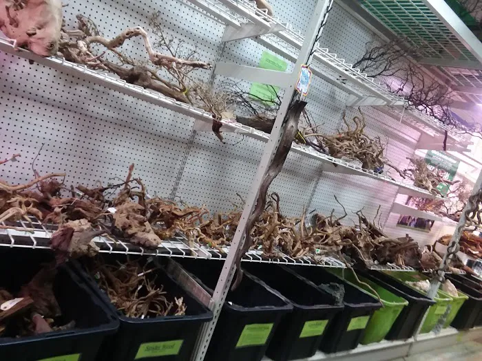 Zoo Creatures Pet Store Picture 1